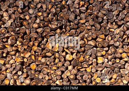 Pila di trito di legno di quercia per carburante domestico, caminetti e stufe - Francia. Foto Stock