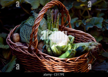 Un cesto di vimini pieno di verdure fresche Foto Stock