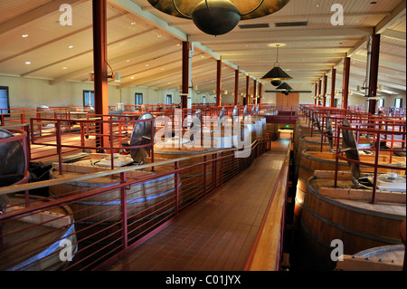 Fermentazione in legno di quercia di barili di Robert Mondavi Winery, Napa Valley, California, Stati Uniti d'America Foto Stock