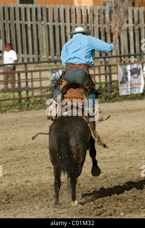 Rodeo, Gardiner, Montana, USA, America del Nord Foto Stock