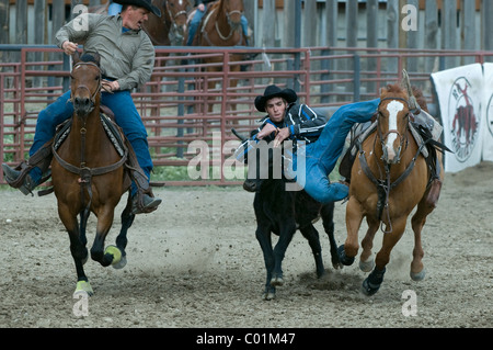 Rodeo, Gardiner, Montana, USA, America del Nord Foto Stock