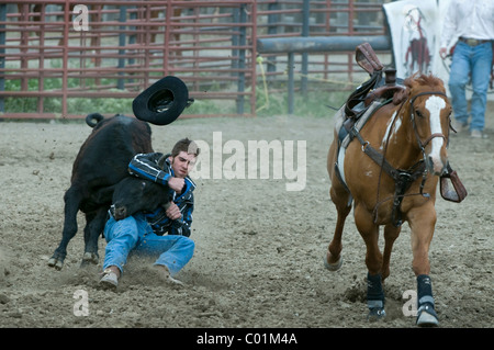 Rodeo, Gardiner, Montana, USA, America del Nord Foto Stock