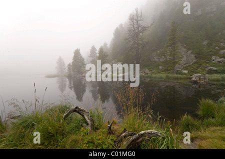 Lago Windebensee, Parco Nazionale Nockberge, Carinzia, Austria, Europa Foto Stock