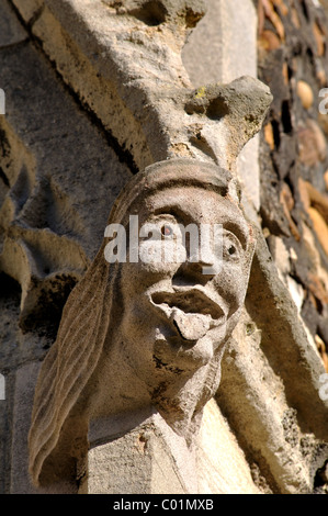 Gargoyle su Santa Maria la Vergine Chiesa, St. Neots, Cambridgeshire, England, Regno Unito Foto Stock