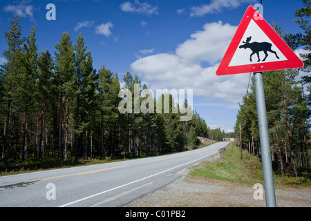 Moose cartello segnaletico, Norvegia, Scandinavia, Europa Foto Stock