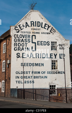 Segno dipinto sul lato di un edificio di Bridgnorth, Shropshire pubblicità E.S. & A. Ridley Ltd, è la più antica azienda di seedsmen ho Foto Stock