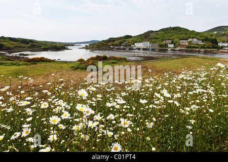 Clifden Bay, Clifden, Connemara, nella contea di Galway, Repubblica di Irlanda, Europa Foto Stock