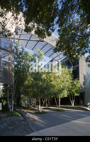 State Street Village, residence hall per l'Illinois Institute of Technology di Chicago, Illinois Foto Stock