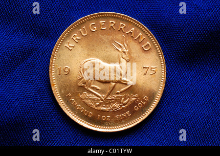 South African Krugerrand dal 1975, 10 Z oro finissimo, motif torna, Molla Bock Foto Stock