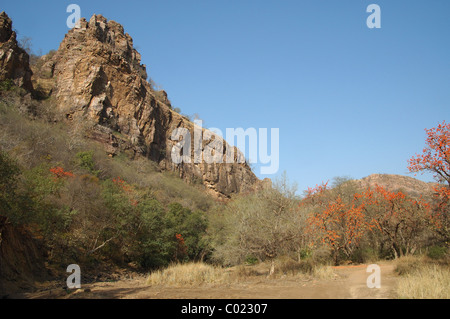 Un affioramento roccioso nel Parco nazionale di Ranthambore India. Aprile 2007. Foto Stock