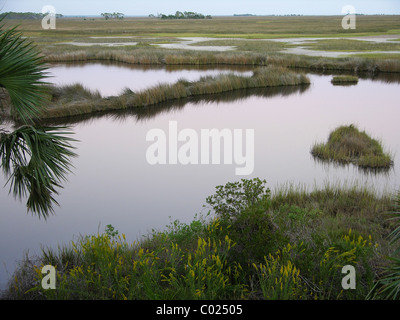 Paludi al crepuscolo, San marchi National Wildlife Refuge, Florida, Stati Uniti d'America Foto Stock