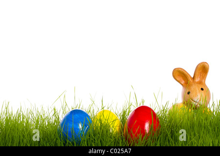 Piccolo coniglietto di pasqua con le uova di pasqua in erba con sfondo bianco Foto Stock