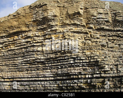 Roccia stratificata scogliera sulla spiaggia in Galles Foto Stock