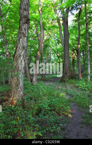 Shabbona Lake State Park - Illinois Foto Stock