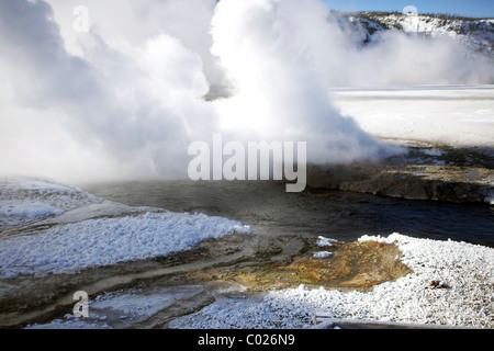 Geyser nel parco di Yellowstone Foto Stock