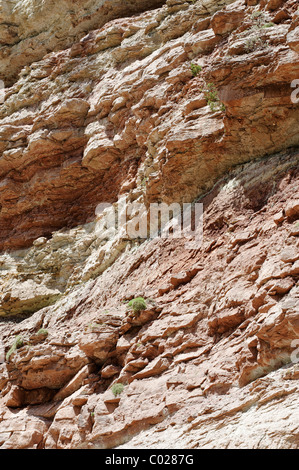 Geoparc Bletterbachschlucht canyon, Mt. Il Weisshorn, nei pressi di Aldino, patrimonio mondiale dell UNESCO, Alto Adige, Italia, Europa Foto Stock