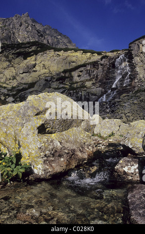 Alti Tatra la cascata "kok' in 'Mlynicka dolina", valle vicino al villaggio turistico il villaggio di Strbske Pleso. Foto Stock