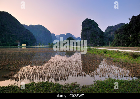 Tam Coc regione nei pressi di Ninh Binh, secco Halong Bay, Vietnam, Asia sud-orientale, Asia Foto Stock