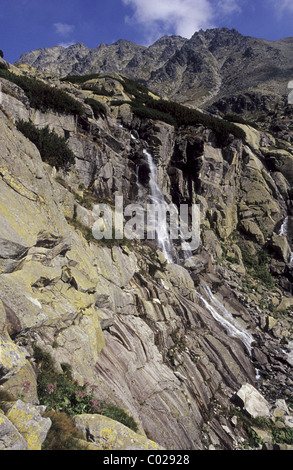 Alti Tatra la cascata "kok' in 'Mlynicka dolina", valle vicino al villaggio turistico il villaggio di Strbske Pleso. Foto Stock