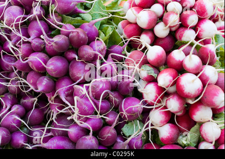 Il francese ravanelli, in stallo il Viktualienmarkt mercato alimentare, Monaco di Baviera, Germania, Europa Foto Stock