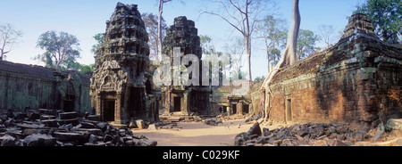Ta Prohm tempio, i templi di Angkor, Siem Reap, Cambogia, Indocina, sud-est asiatico Foto Stock