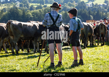 Il cerimoniale la guida verso il basso del bestiame dai pascoli di montagna, di ritorno del bestiame ai loro rispettivi proprietari, Pfronten Foto Stock