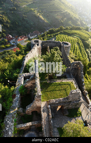 Rovine del Castello Hinterhaus, Spitz, Wachau, Waldviertel, Austria Inferiore, Austria, Europa Foto Stock