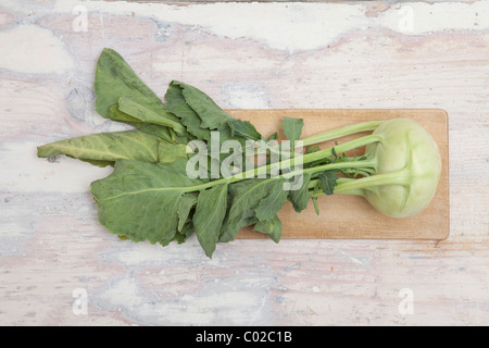 Il cavolo rapa, Rapa tedesco Foto Stock