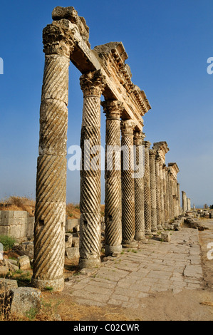 Rovine presso il sito archeologico romano di Apameia, Apamea, Qalaat al Mudiq, Siria, Medio Oriente e Asia Orientale Foto Stock