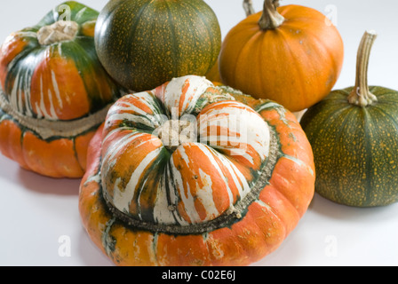 Turk il turbante zucche, (Cucurbita maxima) e Baby Orso Zucca (Cucurbita pepo). Foto Stock