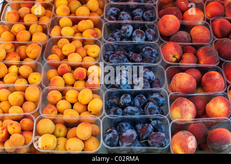 Albicocche, Prugne e pesche in bicchieri di plastica, Wachau, Austria Inferiore, Austria, Europa Foto Stock