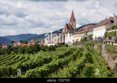 Weissenkirchen nella Wachau, Waldviertel, Austria Inferiore, Austria, Europa Foto Stock