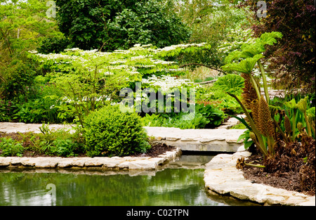 I bellissimi giardini d'acqua nei tribunali giardini, Holt, Wiltshire, Inghilterra, Regno Unito Foto Stock