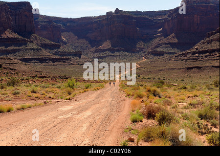 Due ciclisti che viaggiano su una pista polverosa nel Parco Nazionale di Canyonlands, Island in the Sky, White Rim Trail, Utah, Stati Uniti d'America Foto Stock