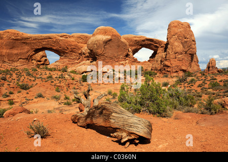 Nord e Sud finestra, Arches National Park, Utah, Stati Uniti d'America Foto Stock