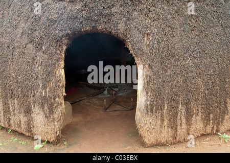 Sud Africa, Durban e la Valle delle mille colline, Phezulu Park. Tradizionale villaggio Zulu, con tetto di paglia di tipica capanna Zulu. Foto Stock