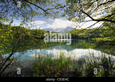 Alatsee lago a Füssen, Allgaeu, Baviera, Germania, Europa Foto Stock