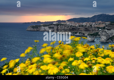 Tramonto con una vista verso Bonifacio in Corsica del Sud, Francia, Europa Foto Stock