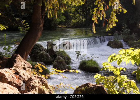 La cascata nel flusso Eisbach, il Giardino Inglese di Monaco di Baviera, Baviera, Baviera, Germania, Europa Foto Stock