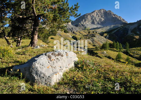 Mt. Tete de Boulonne, il Parco Nazionale del Mercantour, Haute Verdon montagne, Alpes-de-Haute-Provence, Regione Provence-Alpes-Côte Foto Stock