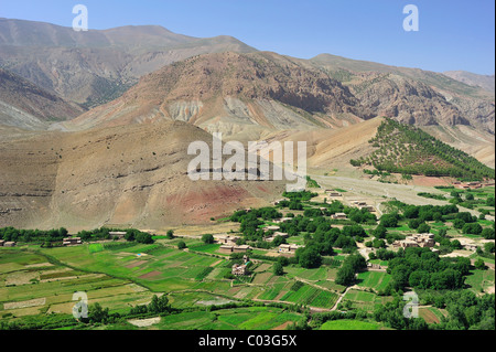 Oasi del paesaggio con i campi, noce e alberi di mele, Ait Bouguemez Valley, Alto Atlante, Marocco, Africa Foto Stock