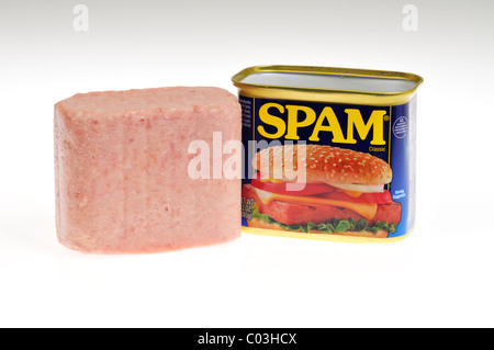 Barattolo di latta di Hormel Foods Spam aperto con carne spam accanto alla possibile su sfondo bianco, isolata. Stati Uniti d'America Foto Stock