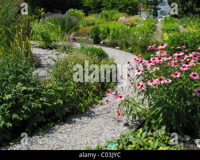 Spirale di erbe nel giardino spa, Bad Heilbrunn, Toelzer Terra, Alta Baviera, Baviera, Germania, Europa Foto Stock