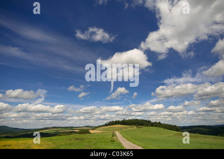 Paesaggio di prati e foreste, parco naturale Eifel, Germania, Europa Foto Stock