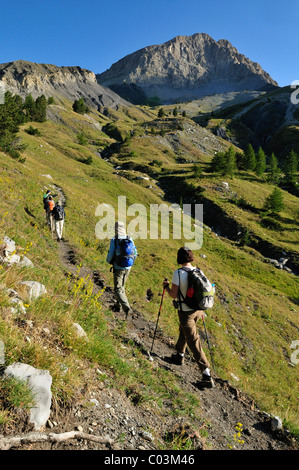 Escursionismo e trekking gruppo su un sentiero alpino al di sotto di Mt. Tete de Boulonne, il Parco Nazionale del Mercantour, Haute Verdon montagne, Foto Stock