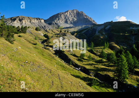 Mt. Tete de Boulonne, il Parco Nazionale del Mercantour, Haute Verdon montagne, Alpes-de-Haute-Provence, Regione Provence-Alpes-Côte Foto Stock