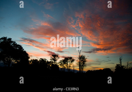 Tramonto in Botswana, Africa Foto Stock