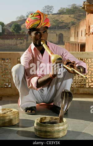 India Rajasthan Jaipur, Snake incantatore & cobra presso l'Ambra Palace Foto Stock