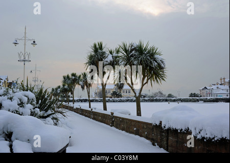 Bowling green nella neve Foto Stock