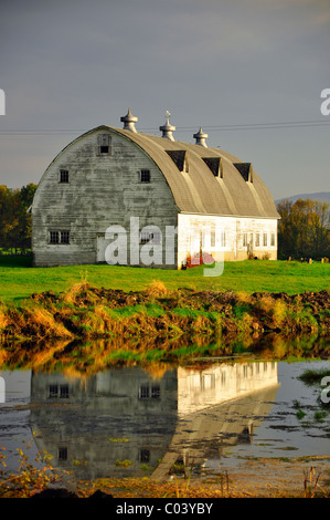 Un vecchio fienile si riflette in un piccolo stagno, Montgomery County, New York. Foto Stock